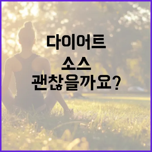 다이어트소스, 정말 마음 놓고 뿌려도 괜찮을까요? - 요약
