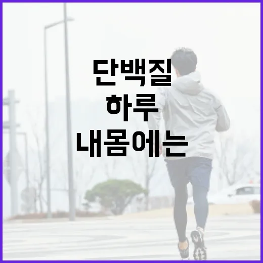 단백질추천, 내 몸에는 하루에 얼마나 필요할까요? - 요약