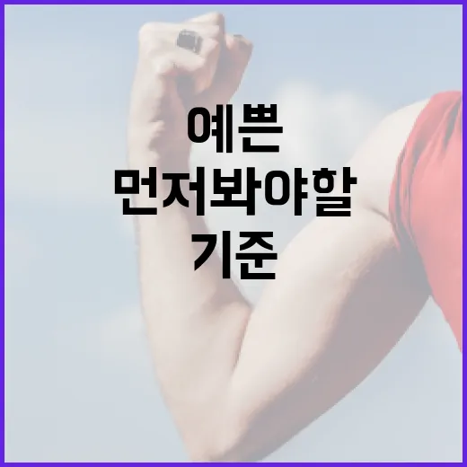 요가복추천, 예쁜 것보다 먼저 봐야 할 기준이 궁금하신가요? - 요약