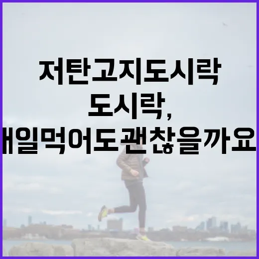 저탄고지도시락, 점심으로 매일 먹어도 괜찮을까요? - 요약