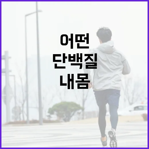 단백질추천, 내 몸에는 어떤 음식이 맞을까요? - 요약