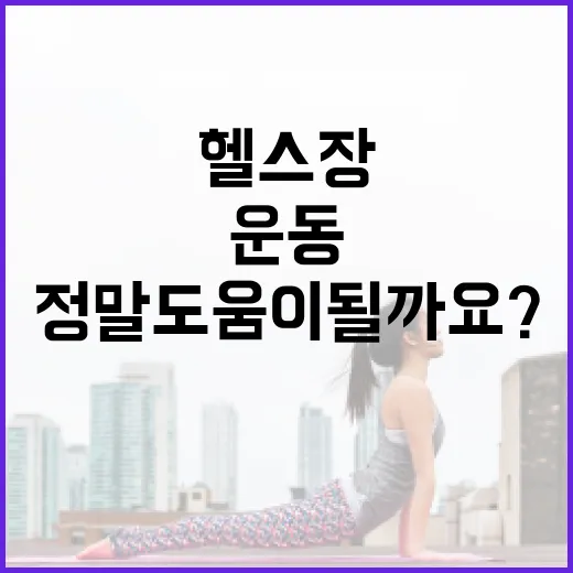 헬스장어플, 운동 습관 잡는 데 정말 도움이 될까요? - 요약