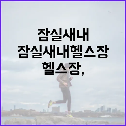 잠실새내헬스장, 내 몸에 맞게 고르려면 무엇을 봐야 할까요? - 요약