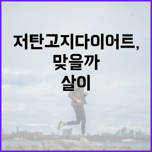 저탄고지다이어트, 살이 잘 빠진다는데 제 몸에도 맞을까요? - 요약