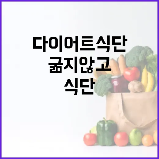 저녁다이어트식단, 굶지 않고 가볍게 먹으려면 어떻게 해야 할까요? - 요약