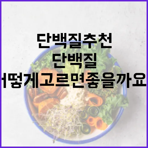 단백질추천, 나이와 생활패턴에 따라 어떻게 고르면 좋을까요? - 요약