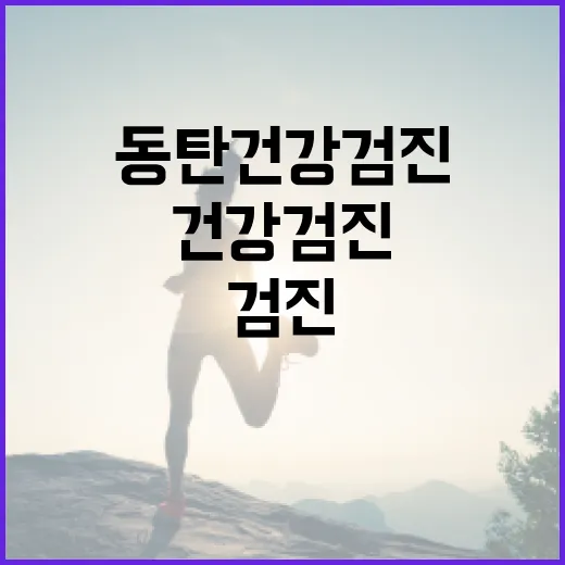 동탄건강검진, 어디까지 받아야 마음이 놓일까요? - 요약
