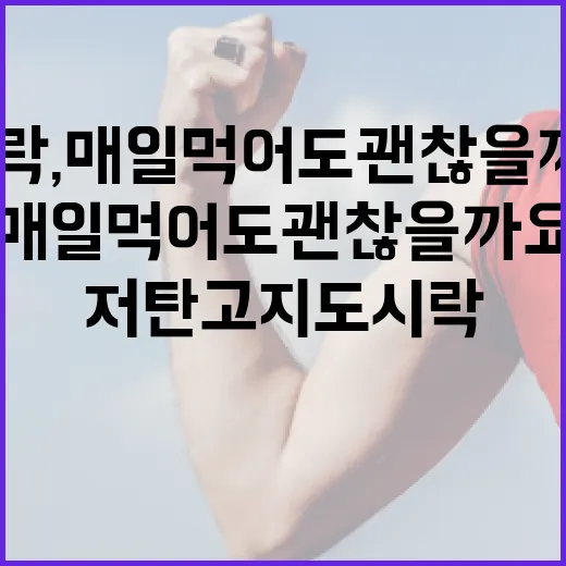 저탄고지도시락, 매일 먹어도 괜찮을까요? - 요약