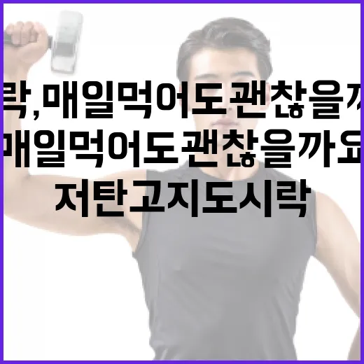 저탄고지도시락, 매일 먹어도 괜찮을까요? - 요약