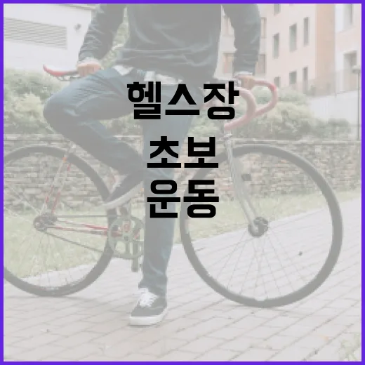 헬스장어플, 운동 초보가 써도 정말 꾸준해질까요? - 요약