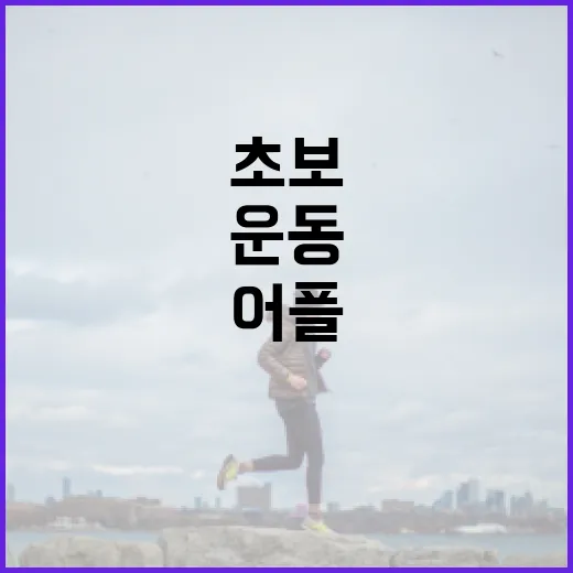 헬스장어플, 운동 초보에게 정말 필요할까요? - 요약