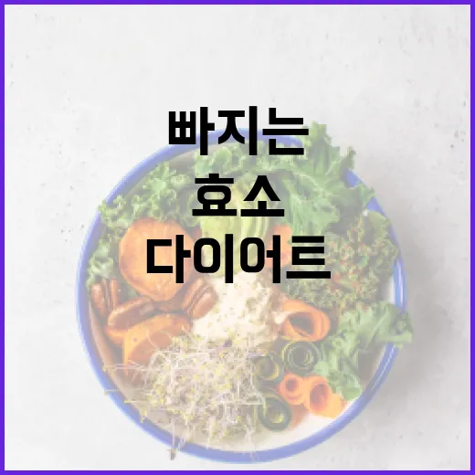 다이어트효소, 정말 살 빠지는 데 필요할까요? - 요약