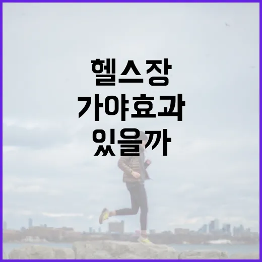 운동, 꼭 헬스장에 가야 효과가 있을까요? - 요약