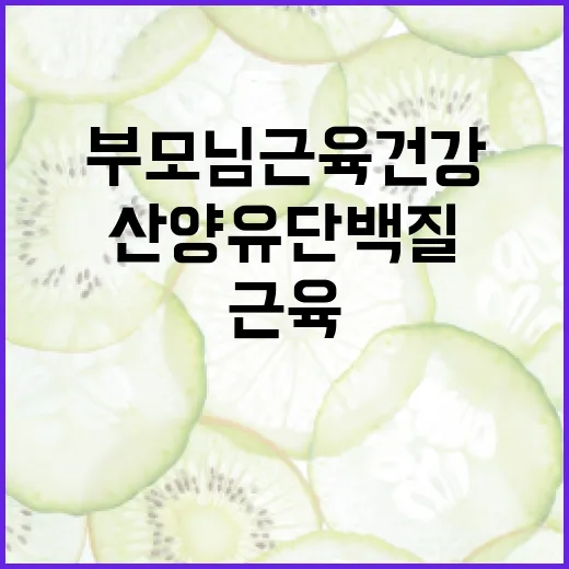 산양유단백질, 부모님 근육 건강에 정말 필요할까요? - 요약