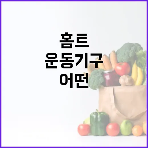 홈트운동기구, 우리 집에는 어떤 것이 맞을까요? - 요약