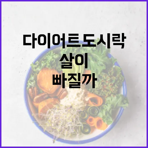 다이어트도시락, 양만 줄이면 정말 살이 빠질까요? - 요약