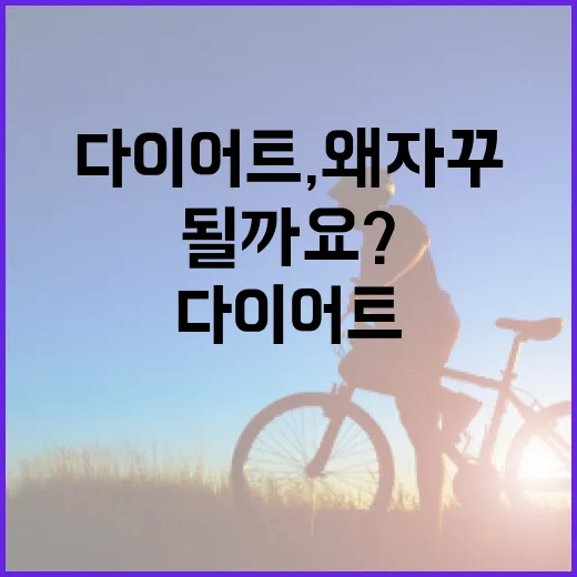 다이어트, 왜 자꾸 다시 시작하게 될까요? - 요약