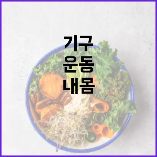 운동기구, 집에 들이기 전에 내 몸에 맞는지 궁금하신가요? - 요약