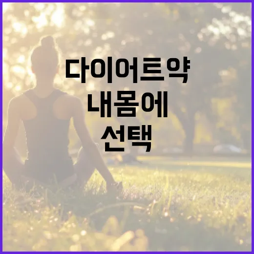 다이어트약, 내 몸에는 정말 필요한 선택일까요? - 요약