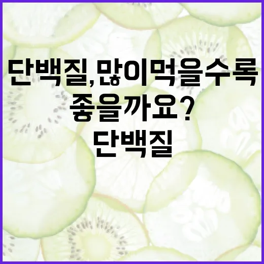 단백질, 많이 먹을수록 정말 좋을까요? - 요약