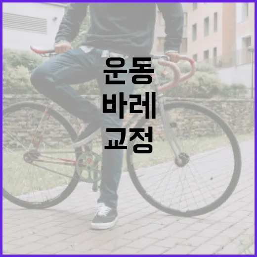 바레운동, 자세 교정에 좋다는데 내 몸에도 맞을까요? - 요약