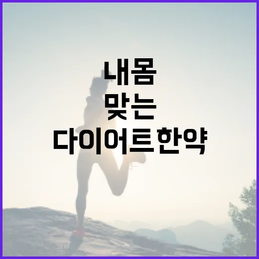 다이어트한약, 내 몸에 맞는 선택인지 궁금하신가요? - 요약