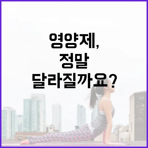 종합영양제, 매일 먹으면 정말 몸이 달라질까요? - 요약