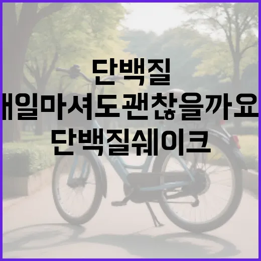 단백질쉐이크, 매일 마셔도 괜찮을까요? - 요약