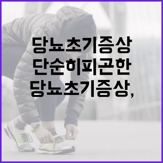 당뇨초기증상, 단순히 피곤한 걸까요? - 요약