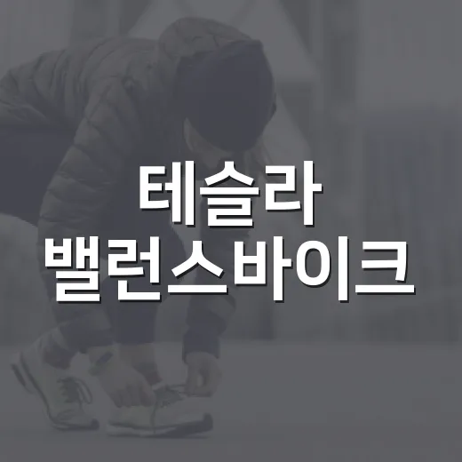 테슬라 밸런스바이크, 아이에게 정말 괜찮을까요? - 요약