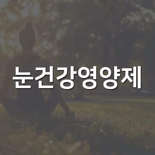 눈건강영양제, 루테인만 먹으면 충분할까요? - 요약