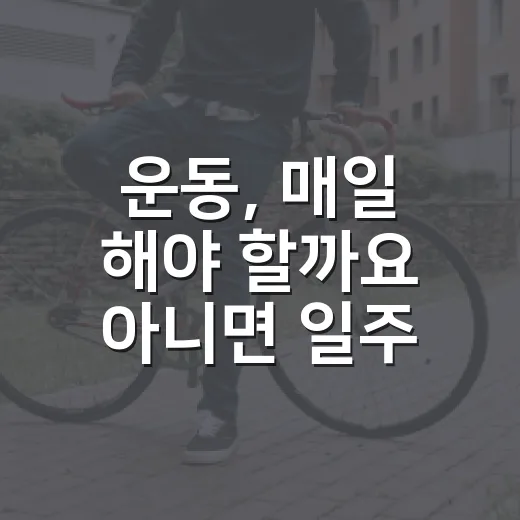 운동, 매일 해야 할까요 아니면 일주일에 몇 번이면 충분할까요? - 요약