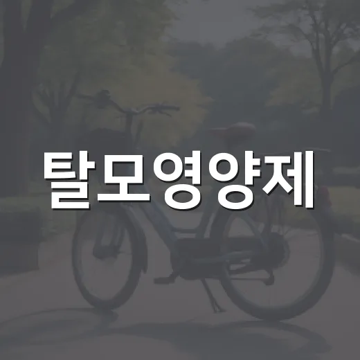 탈모영양제, 아무거나 먹어도 괜찮을까요? - 요약