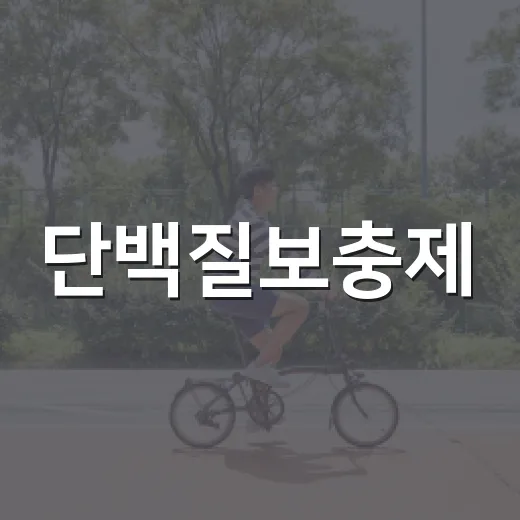 단백질보충제, 매일 먹어도 괜찮을까요? - 요약