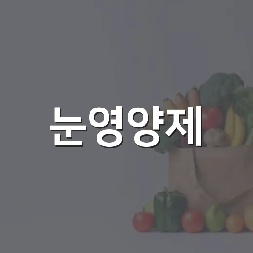 눈영양제, 매일 먹으면 정말 눈이 덜 피곤해질까요? - 요약
