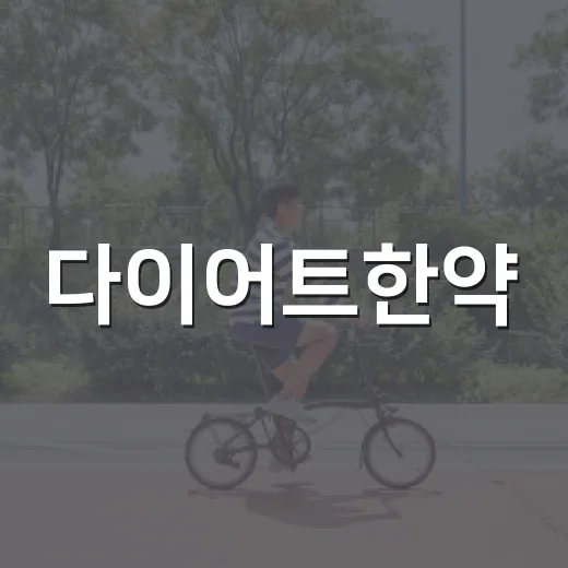 다이어트한약, 먹기 전에 무엇을 확인하고 계신가요? - 요약