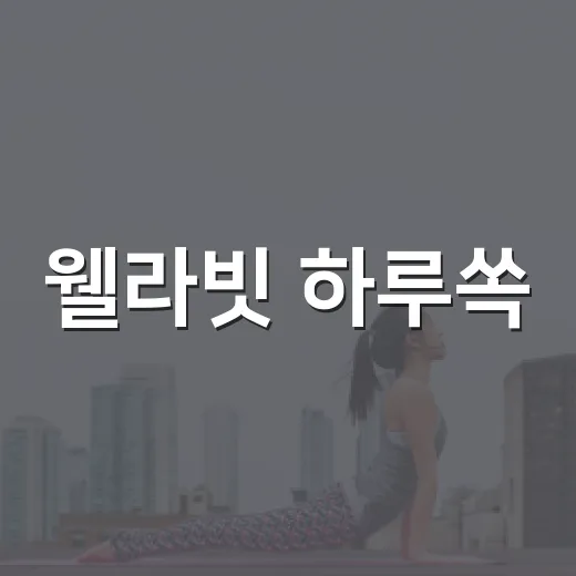 웰라빗 하루쏙, 식단 관리 중 먹어도 괜찮을까요? - 요약