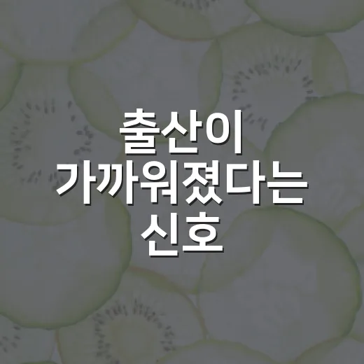 출산이 가까워졌다는 신호, 언제 병원에 가야 할까요? - 요약