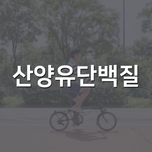 산양유단백질, 우유 단백질보다 속이 편할까요? - 요약