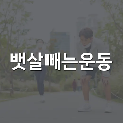 뱃살빼는운동, 윗몸일으키기만 열심히 하면 될까요? - 요약