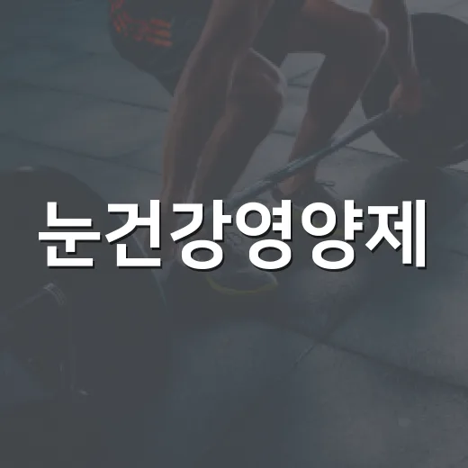 눈건강영양제, 누구에게 정말 필요할까요? - 요약