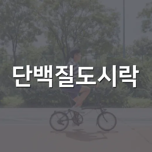 단백질도시락, 매일 먹어도 괜찮을까요? - 요약