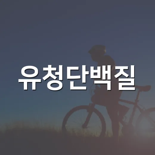 유청단백질, 매일 먹어도 괜찮은지 궁금하신가요? - 요약