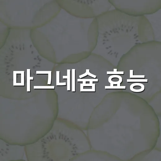 마그네슘 효능, 피곤하고 쥐 날 때 꼭 챙겨야 할까요? - 요약