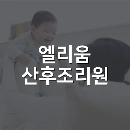 엘리움 산후조리원, 출산 후 회복 공간으로 어떤 점을 봐야 할까요? - 요약