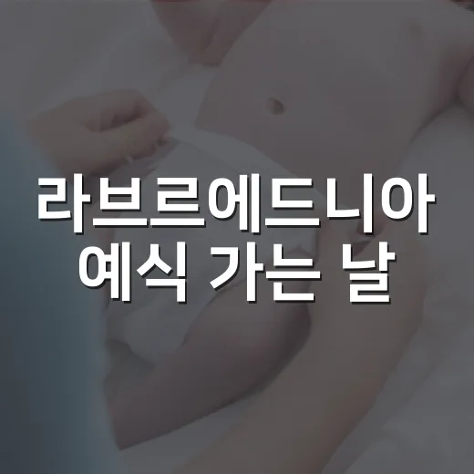 라브르에드니아 예식 가는 날, 식사와 컨디션은 어떻게 챙기고 계신가요? - 요약