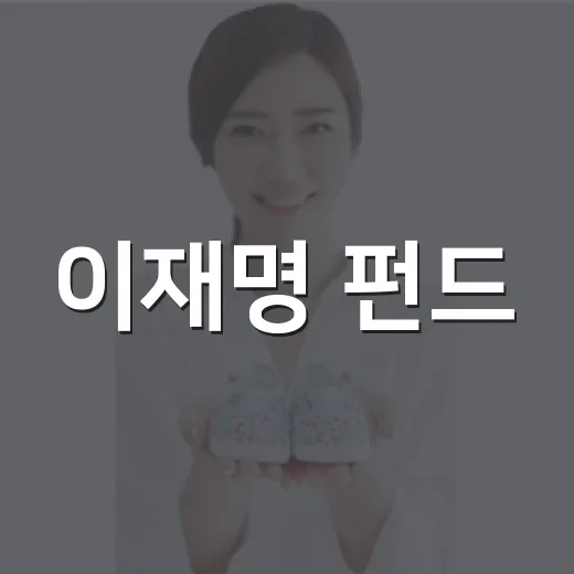 이재명 펀드, 그냥 정치 후원금처럼 생각해도 될까요? - 요약