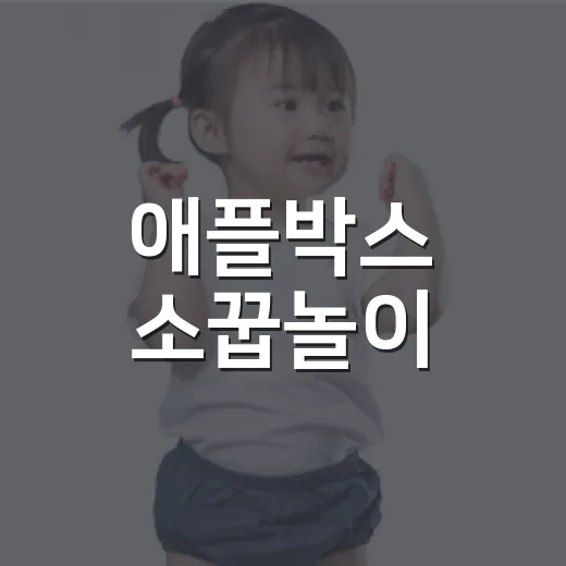 애플박스 소꿉놀이, 아이에게 어떤 점을 봐주고 계신가요? - 요약