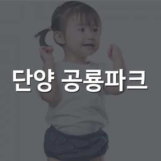 단양 공룡파크, 아이와 가기 전에 무엇을 챙겨야 할까요? - 요약