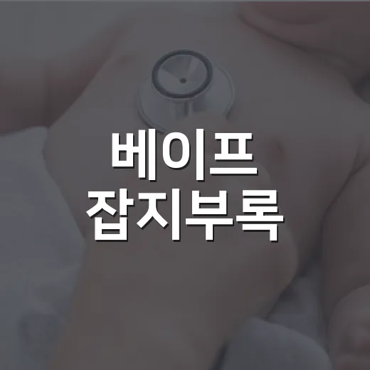 베이프 잡지부록, 그냥 굿즈로 받아도 괜찮을까요? - 요약